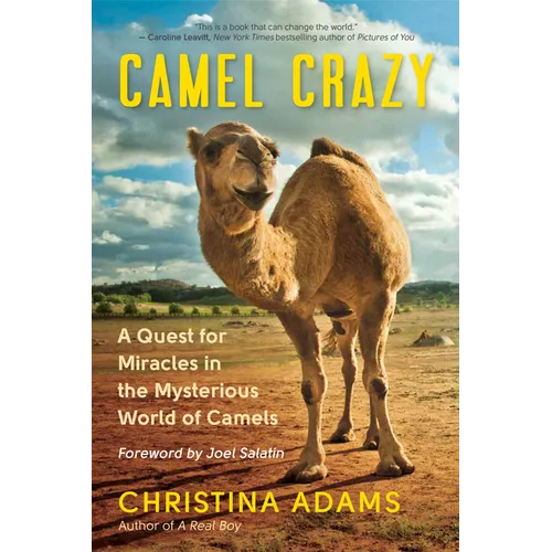 Camel Crazy: A Quest for Miracles in the Mysterious World of Camels - Paperback