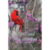 Effie and Her Friends: A Story of Friendship - Paperback