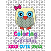 Coloring Calendar 2020 Cute Owls - Paperback