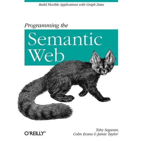 Programming the Semantic Web: Build Flexible Applications with Graph Data - Paperback