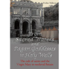 From Sacred Waters and Pagan Goddesses to Holy Wells: The cult of saints and the Virgin Mary in medieval Britain - Paperback