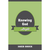 Knowing God Aright - Paperback