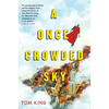 A Once Crowded Sky - Paperback
