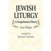 Jewish Liturgy a Comprehensive Histor - Hardcover
