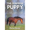 The Surprise Puppy and the Connemara Pony - The Coral Cove Horses Series - Paperback