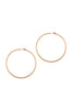 Wire Hoop Earrings
