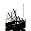 Echidnas Don't Live Here Any More: Poems of loss and recovery since the Black Summer bushfires - Paperback