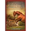 From A Spark Comes A Flame: A Spin Off Novella from The Horses Know Trilogy - Paperback