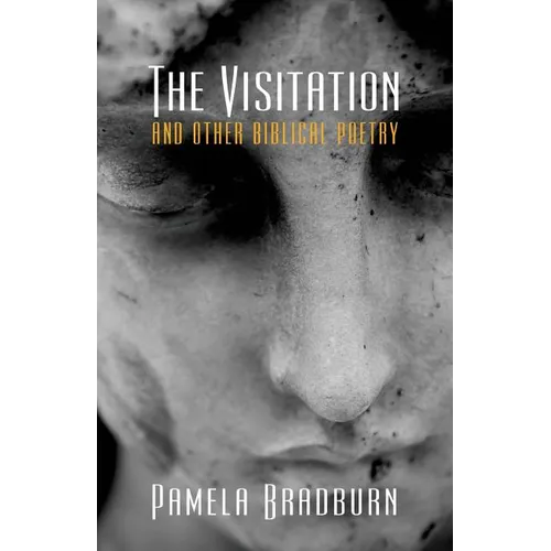 The Visitation and Other Biblical Poetry - Paperback