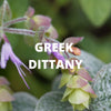 Crete Tea