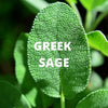 Crete Tea