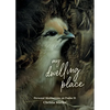 My Dwelling Place: Personal Meditations on Psalm 91 - Paperback