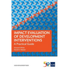 Impact Evaluation of Development Interventions: A Practical Guide - Paperback