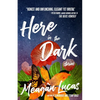 Here in the Dark: Stories - Paperback
