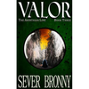 Valor - Paperback