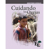 Cuidando las Ovejas: Escuela de Liderazgo: Especialidad Ministerio Juvenil - Paperback