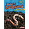 Let's Look at Earthworms - Paperback