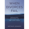 When Divorces Fail: Disillusionment, Destructivity, and High-Conflict Divorce - Paperback