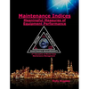 Maintenance Indices - Meaningful Measures Of Equipment Performance: (2nd Discipline on World Class Maintenance Management - Paperback