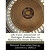 Life Cycle Assessment of Hydrogen Production Via Natural Gas Steam Reforming - Paperback