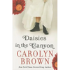 Daisies in the Canyon - Paperback