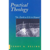 Practical Theology - Paperback
