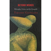 Beyond Words: Philosophy, Fiction, and the Unsayable - Hardcover