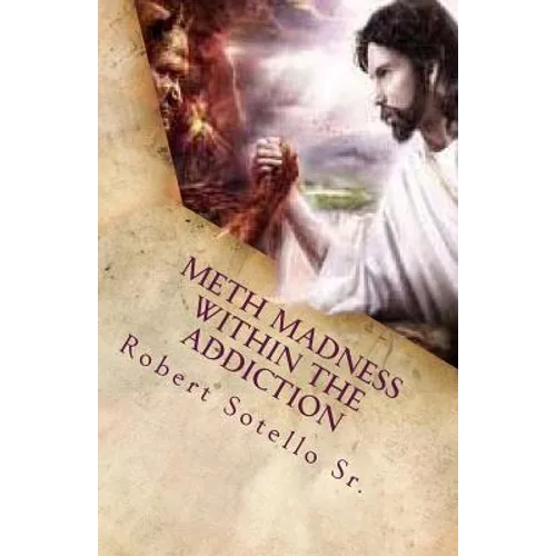METH Madness Within The Addiction - Paperback