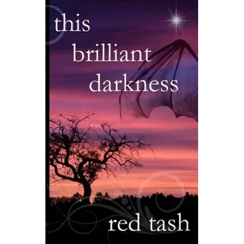 This Brilliant Darkness - Paperback