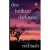 This Brilliant Darkness - Paperback