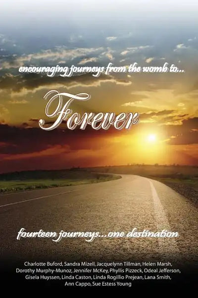encouraging journeys from the womb to...Forever: fourteen journeys...one destination - Paperback