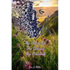 My Poetry Is The Beauty You Overlook - Paperback
