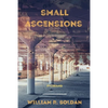 Small Ascensions - Paperback
