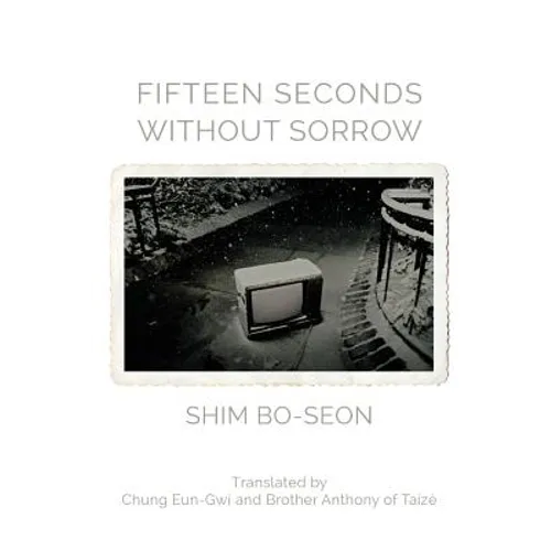 Fifteen Seconds without Sorrow - Paperback