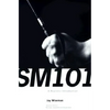 SM 101: A Realistic Introduction - Paperback
