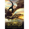 Fire Bound: Dragon of Shadow and Air Book 10 - Paperback