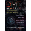 Dmt Dialogues: Encounters with the Spirit Molecule - Paperback