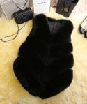 Faux Fur Sleeveless Vest