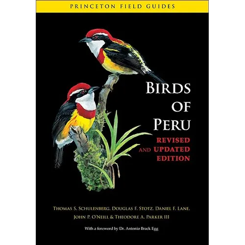 Birds of Peru - Paperback