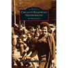Chicago's Englewood Neighborhood: At the Junction - Hardcover