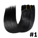 Straight Clip in Extensions