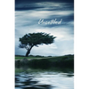 Unsettled - Paperback