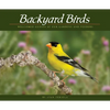 Backyard Birds: Welcomed Guests at Our Gardens and Feeders - Paperback