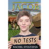 A Lancaster Amish School for Jacob - Paperback