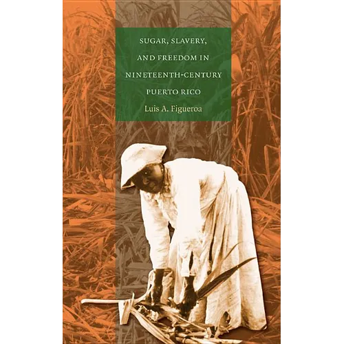 Sugar, Slavery, and Freedom in Nineteenth-Century Puerto Rico - Paperback