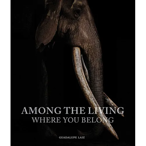 Among the Living: Where You Belong - Hardcover