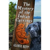 The Mystery of the Indian Carvings - Paperback