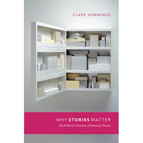 Why Stories Matter: The Political Grammar of Feminist Theory - Paperback