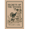 Secrets of the Woods (Yesterday's Classics) - Paperback