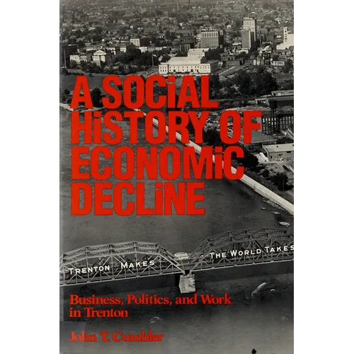 A Social History of Economic Decline: Business, Politics, and Work in Trenton - Paperback